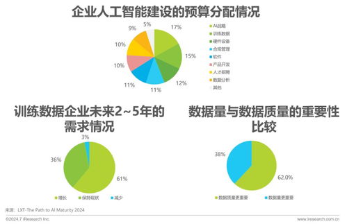 2024年中國AI基礎數據服務研究報告 網絡文化經營視角