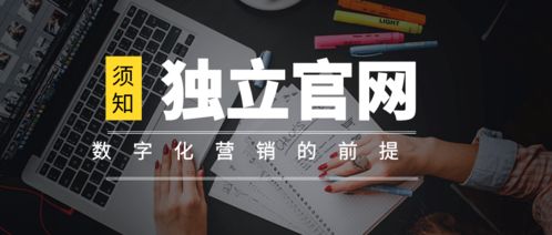離開獨立官網談數字化營銷，無異于網絡文化經營中的“無本之木”